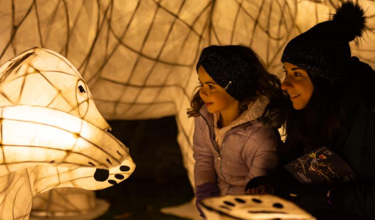 Sparkle in the Park lanterns at Charlton House and Gardens